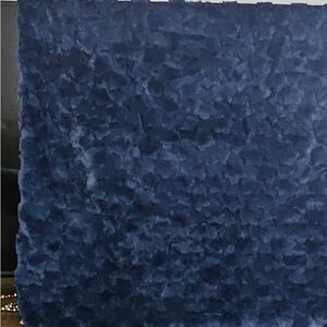 FAO Schwarz Plush Blue Throw Blanket